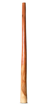 Marikuku Wirrpanda Yidaki (YI317)